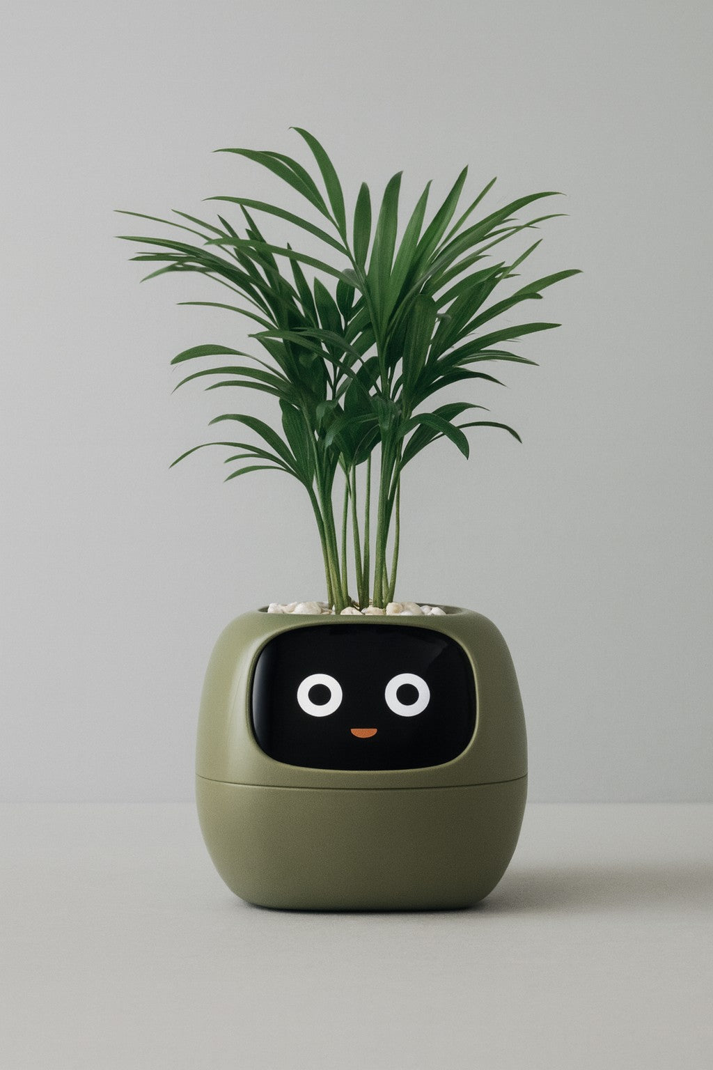 Plantbuddy