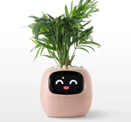 Plantbuddy