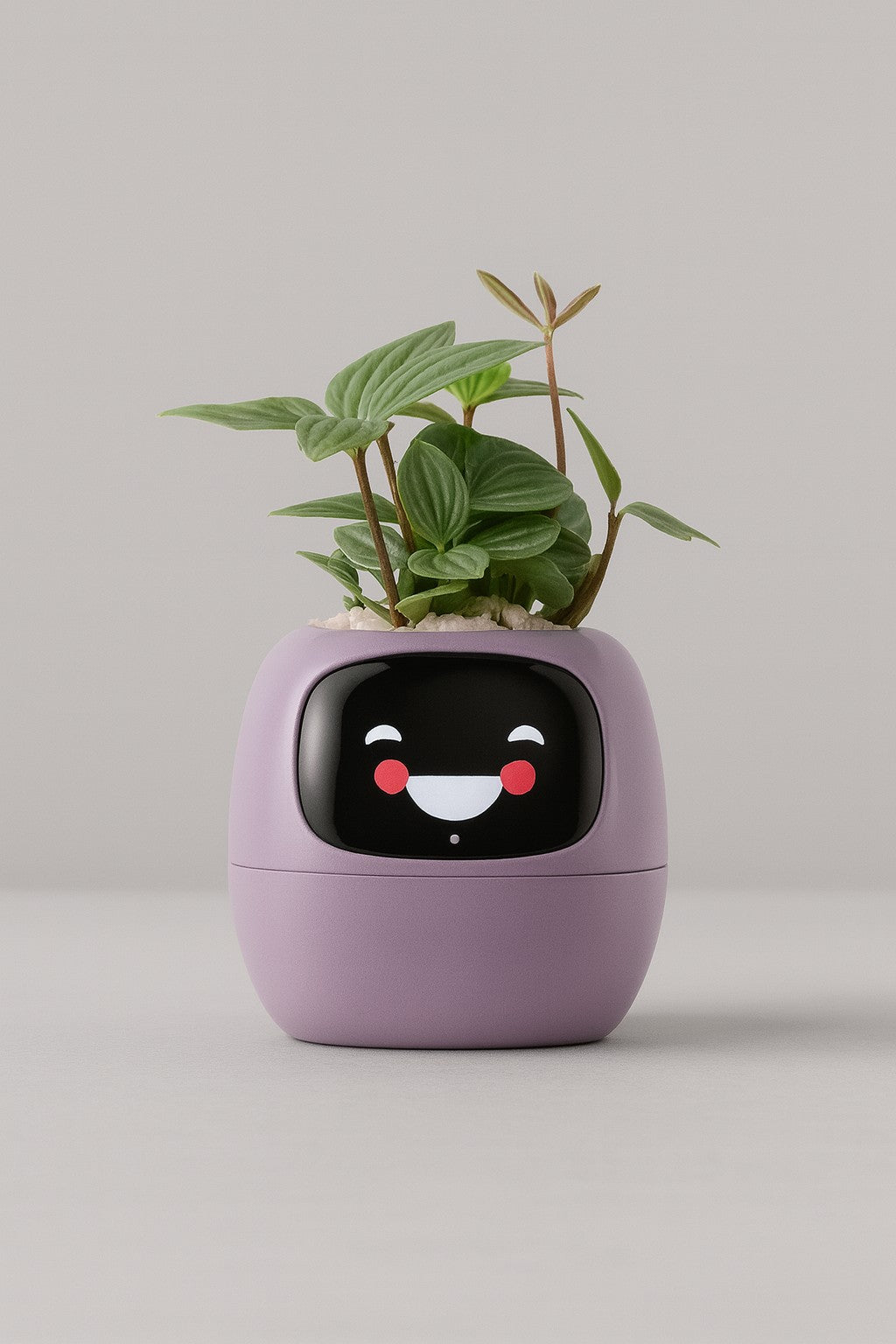 Plantbuddy