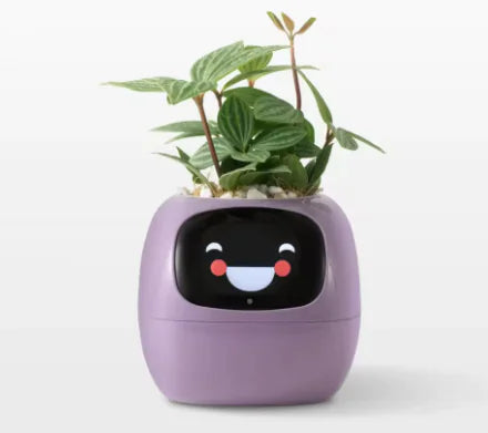 Plantbuddy
