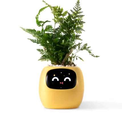 Plantbuddy