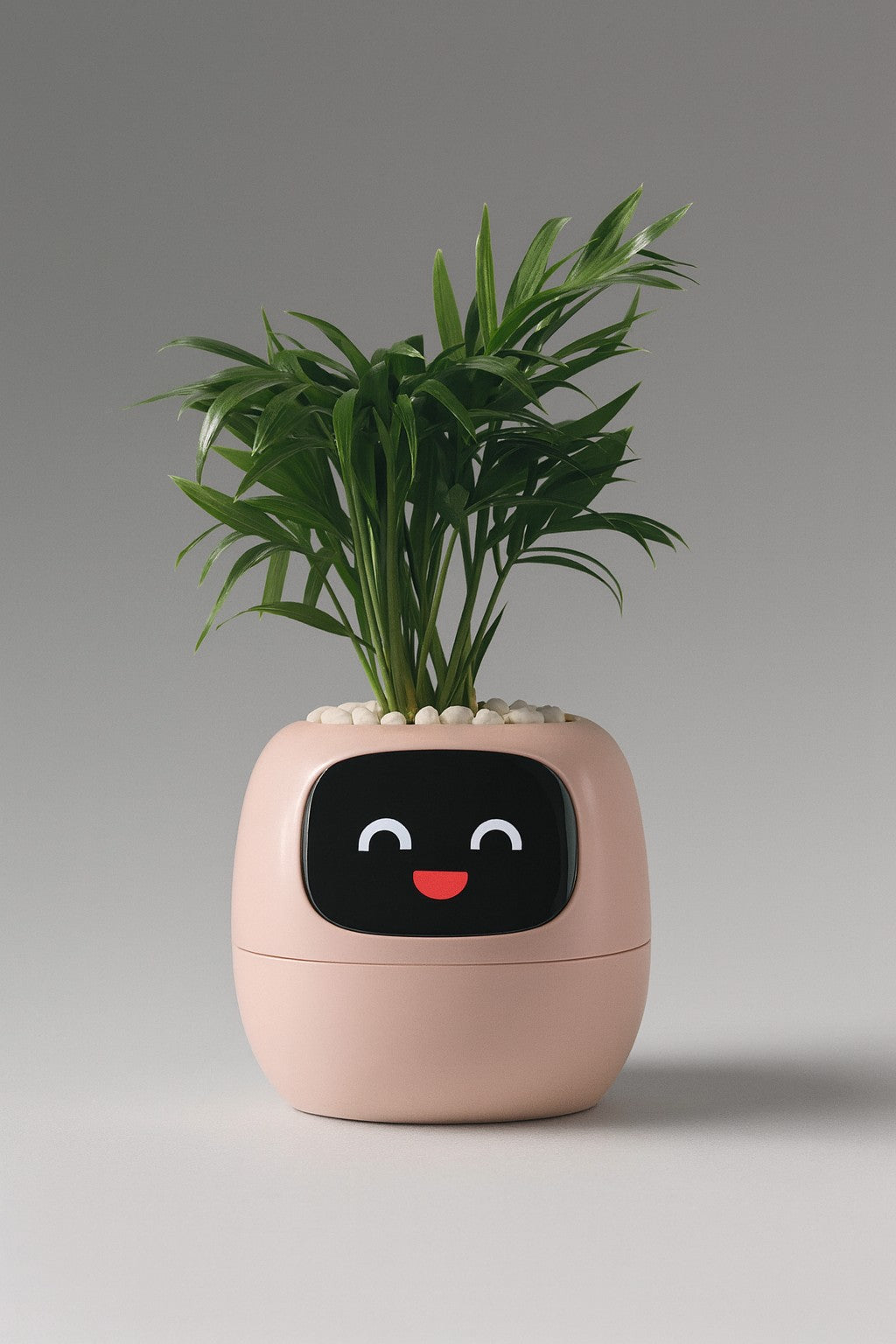 Plantbuddy